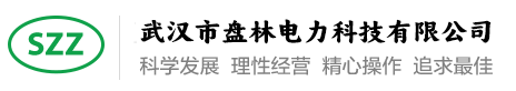 武汉市盘林电力科技有限公司